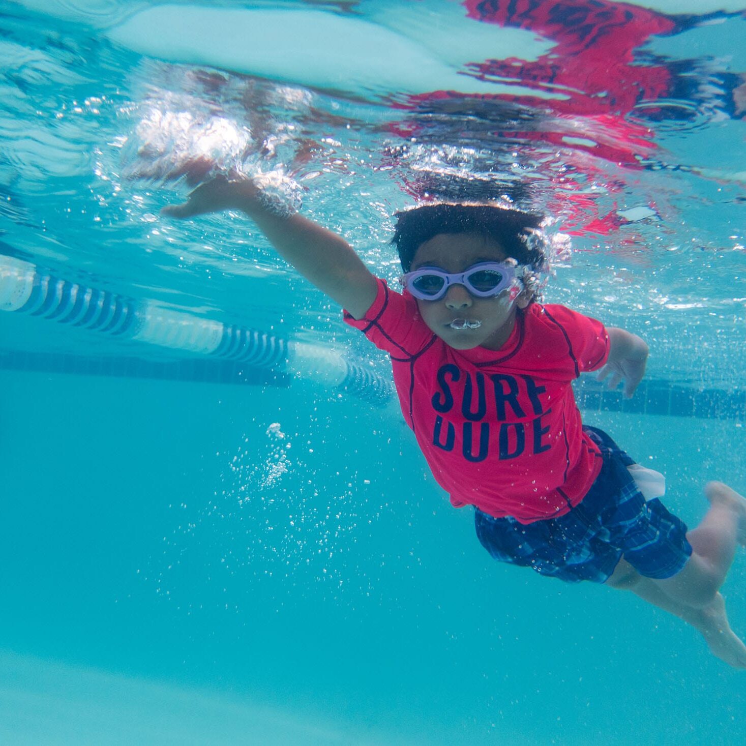 JimSwimKid JimSwimKid